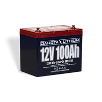 12V 100AH Deep Cycle LIFEPO4 Battery